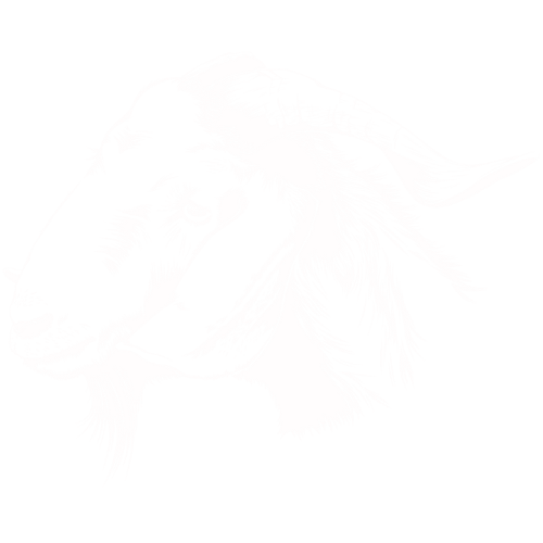 Stilisierter Anschnitt eines Ziegenkopfes in weiß auf transparentem Hintergrund.