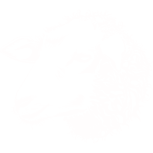 Stilisierter Anschnitt eines Schafkopfes in weiß auf transparentem Hintergrund.