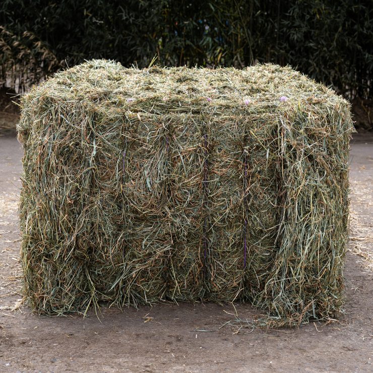 Ole Roschen Businessshooting_final Das Foto zeigt einen getrockneten Heu-Quarder auf einem natürlichen Untergrund.