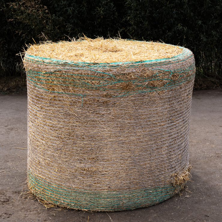Das Foto zeigt einen getrockneten Stroh-Rundballen auf einem natürlichen Untergrund.